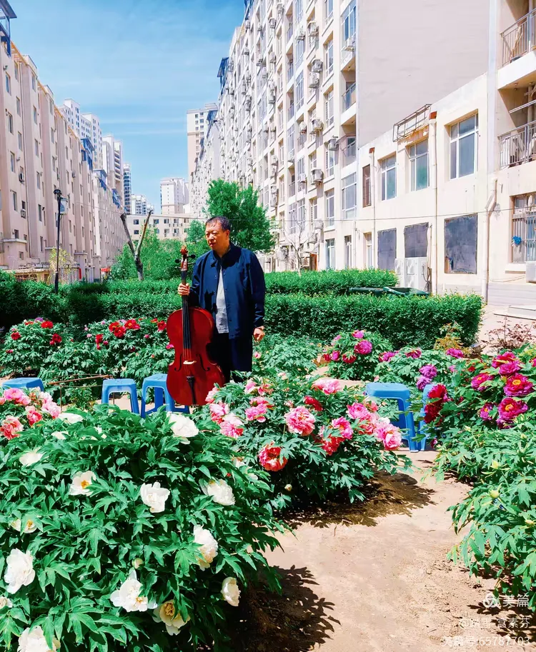 海城百汇香山小区的音乐与花香之旅